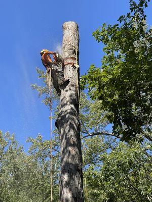 Redeemed Tree Service