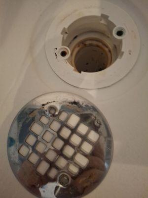 Rise and Shine Cleaning and Homecare