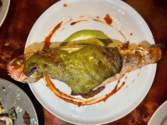 Snapper - fish of the day