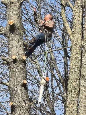 Taber Tree Service