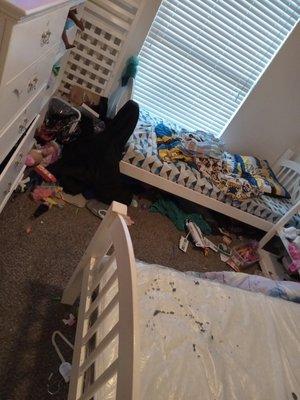 Tashaunas Maid Service