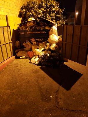 Trash hasn't been picked up since last week!!!