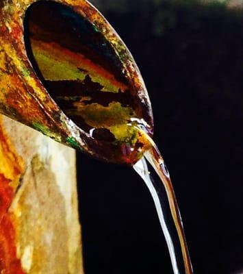 Rebeccakanelivingwaters