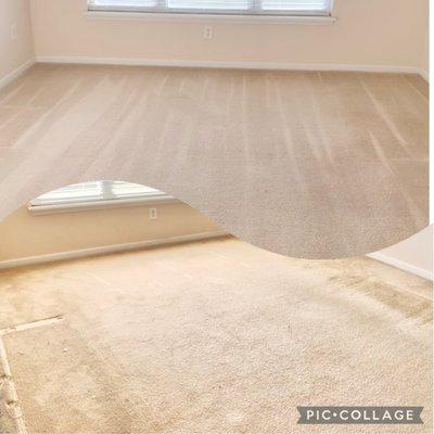 Moana’s Dust Darlings