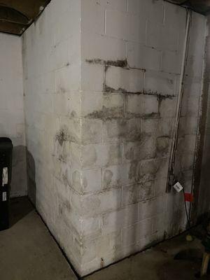 Olde Falls Village Apartments