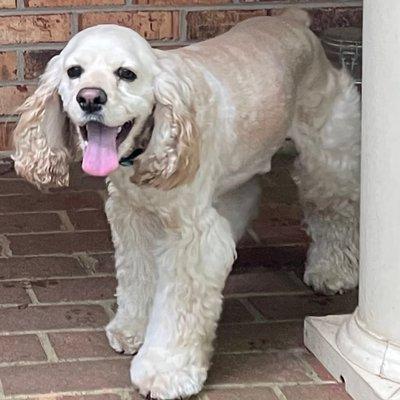 Walkertown Veterinary Hospital