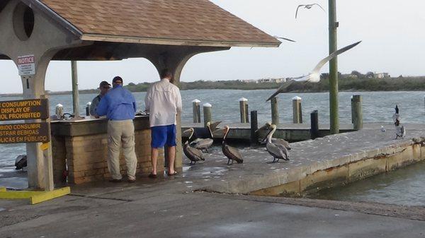 Mom and Pop's RV and Fishing Retreat