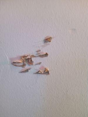 Bomze & Yorko PC Atty