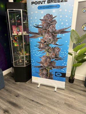 It's photoshop they dnt sell this. Their words not mine