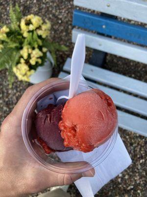 Cherry bomb + Michigan blueberry Italian ice (2 scoops for $2.99)