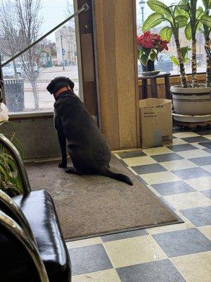 Dad's Barber & Hair Styling Shop