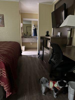 Rest of Pet friendly room