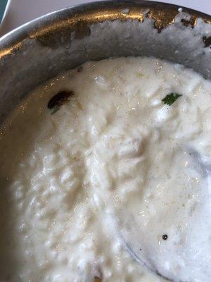 Curd rice