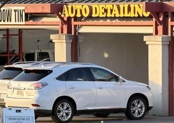 The Auto Body People