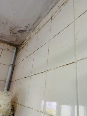 RM Residential Cleaning