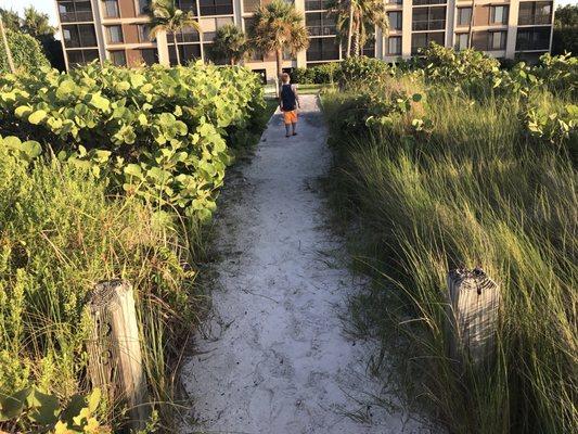 Pelicans Roost Condominiums