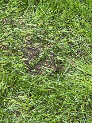 American Lawn & Sprinkler