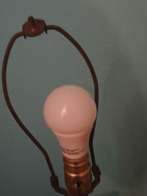 This is a lamp at the Pines Motel in Chicopee