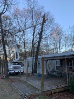 Tidde Tree Service Tuscaloosa