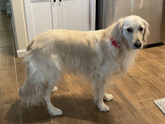 Look how beautiful she looks. Thank you