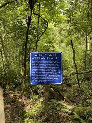 Muddy Creek Wetland Management