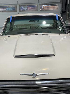 Shine Auto Glass