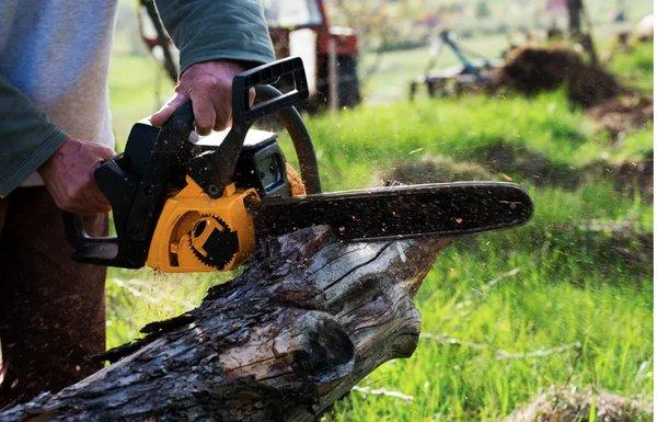 The Magic Rake Tree And Landscaping Service