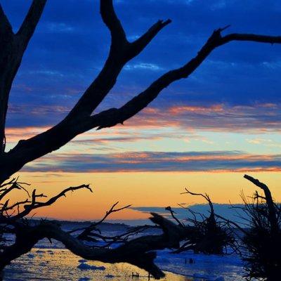 Photophactory by Bobby Martin