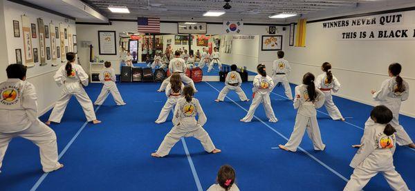 Seagull Blackbelt Academy