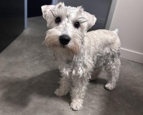 Broadway Veterinary Hospital