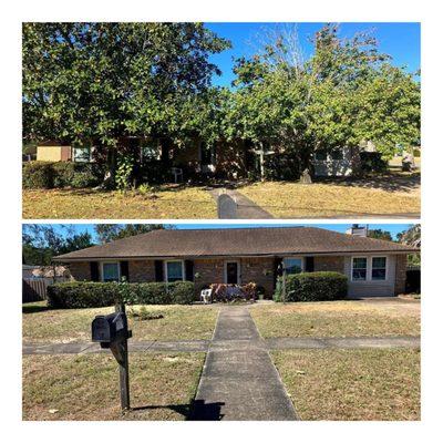 NWT Bobcat and Tree Services