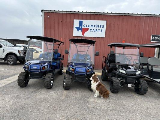 Rockport with Ozzie the Aussie!