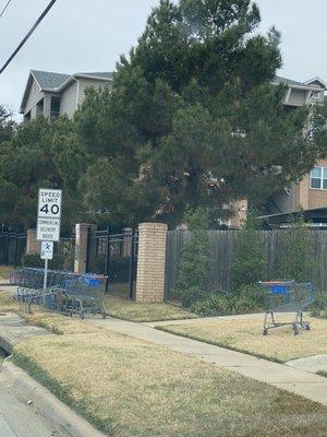 Shopping carts, a lot of shopping carts.