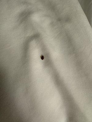 Holiday Inn Cleveland