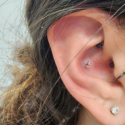 Conch done by Marz Piercing
