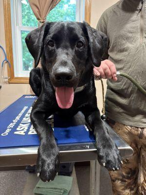 Croix Valley Veterinary Hospital