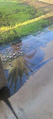 First Aid Landscaping