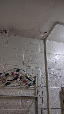 I've been complaining for 2 summers about the leak in my bathroom over the toilet