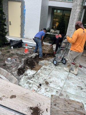 Taking out a section of uneven concrete so we can pour it back and finish flush to surrounding edges