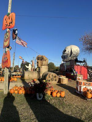 Pumpkin patch 2025