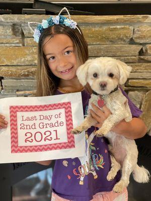 Kimberly's All Breed Dog Grooming