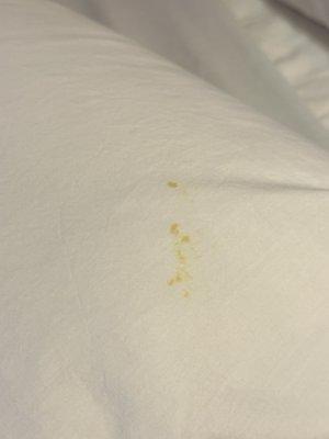 My room has stains, this is after transferring out of 2 even dirtier ones