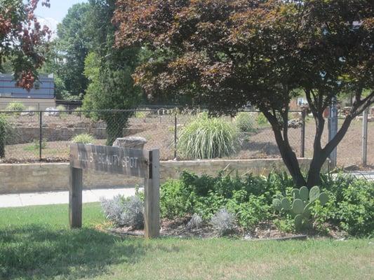 Hill Street Beauty Spot