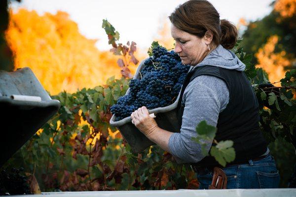 Adam Decker Photography