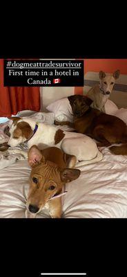 North View Laundromat