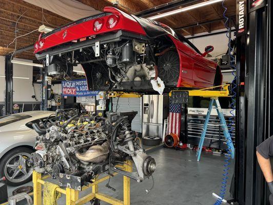 Stallion Motorsports