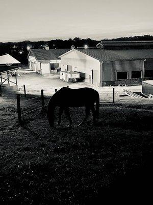 Shangri-La Therapeutic Academy of Riding-Star