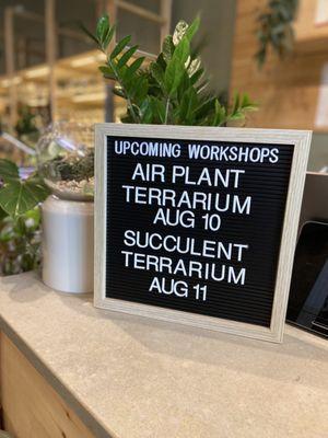 They have weekly workshops too!