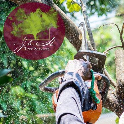 J&H Tree Services