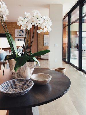 Koa Building and Design